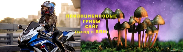 трава Елабуга