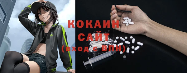 стафф Ельня