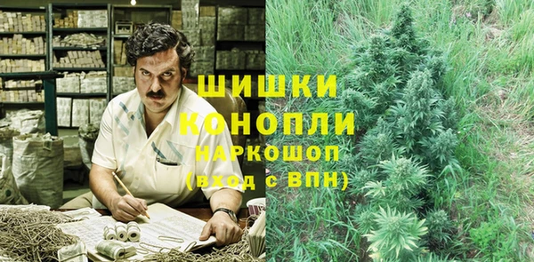 стафф Ельня