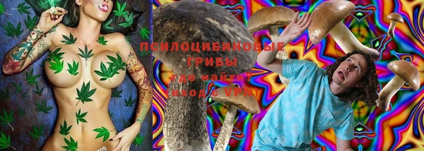 трава Елабуга