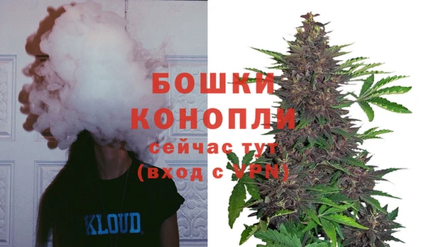 сатива Елизово