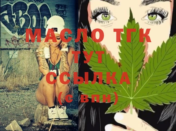 стафф Ельня