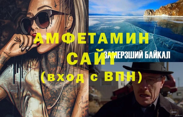 сатива Елизово