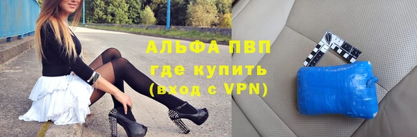 стафф Ельня