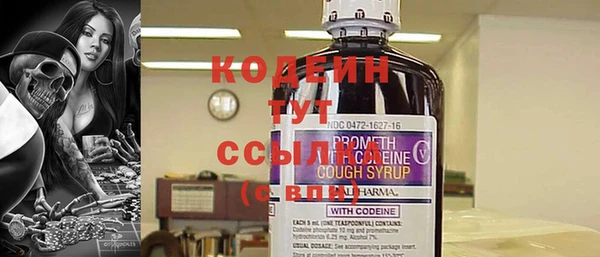 сатива Елизово